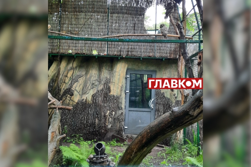 Хто купає слона і що робити, коли у бегемота нема настрою? Ранкова прогулянка київським зоопарком