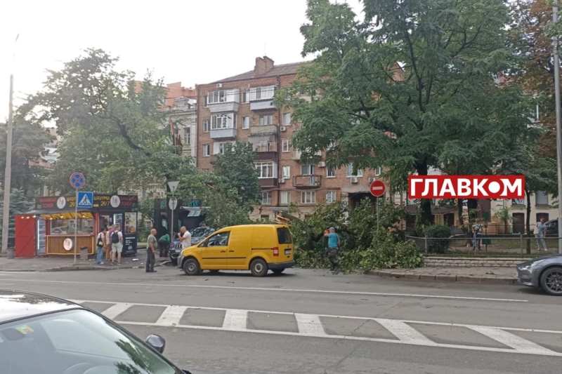 У Києві через негоду впав будівельний кран (відео)